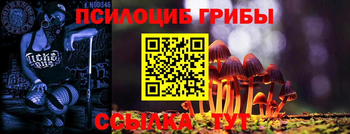 Галлюциногенные грибы мицелий  Вход с VPN  Сызрань 