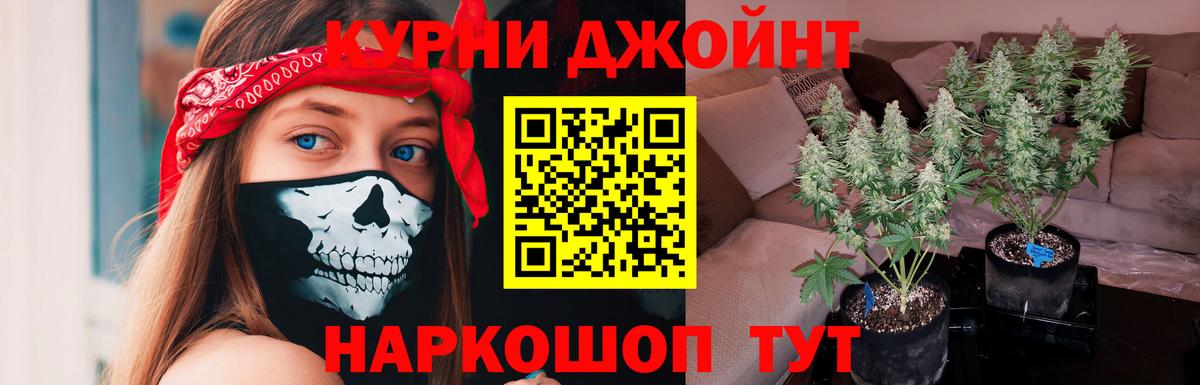 Марихуана тримм  Вход с VPN  Сызрань  Бошки Шишки Bruce Banner  Шишки марихуана марихуана 